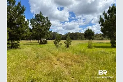 0 Boros Road, Elberta, AL  - Photo 3