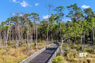 37 Lagoon Dr, Gulf Shores, AL 36542 - Photo 107