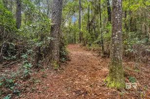 23849 Common Oak Dr, Loxley, AL 36551 - Photo 41