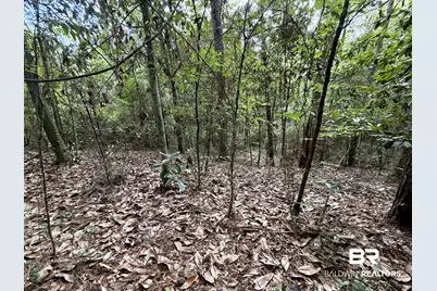 0 Bugle Retreat, Spanish Fort, AL 36527 - Photo 5