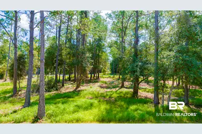 11552 Rider Lane, Elberta, AL 36530 - Photo 51