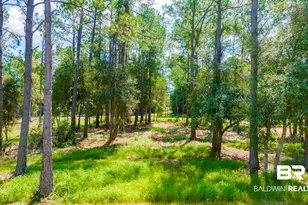 11552 Rider Ln, Elberta, AL 36530 - Photo 51