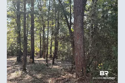 40703 County Road 39, Bay Minette, AL 36507 - Photo 1