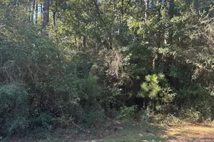 0 Northshore Dr, Bay Minette, AL 36507 - Photo 1
