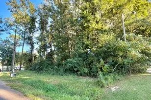 816 E Verbena Ave, Foley, AL 36535 - Photo 1