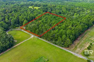 42217 Earl Durant Rd, Bay Minette, AL 36507 - Photo 41