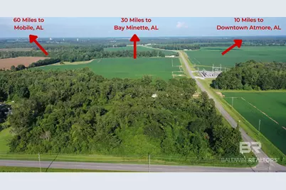Lot 1 Highway 99 A, Walnut Hill, FL 32568 - Photo 3