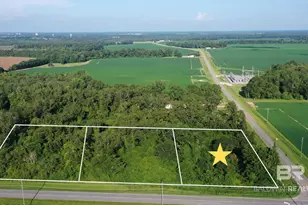 Lot 1 Hwy 99 A, Walnut Hill, FL 32568 - Photo 1