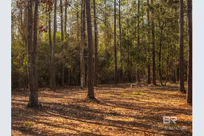 0 St Highway 225, Spanish Fort, AL 36527 - Photo 3