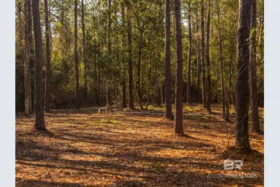 0 St Highway 225, Spanish Fort, AL 36527 - Photo 51