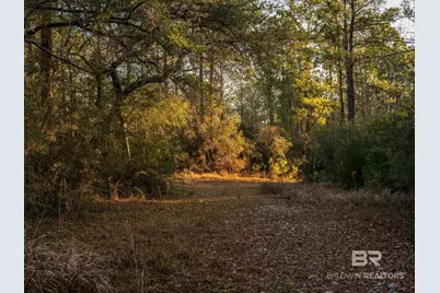 0 St Highway 225, Spanish Fort, AL 36527 - Photo 11