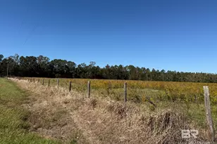 15943 Dogwood Rd, Bay Minette, AL 36507 - Photo 1