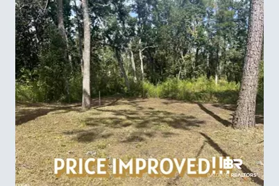 24875 Miflin Road, Elberta, AL 36530 - Photo 1