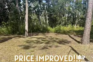 24875 Miflin Rd, Elberta, AL 36530 - Photo 1