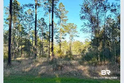 16690 Cc Road, Elberta, AL 36530 - Photo 1