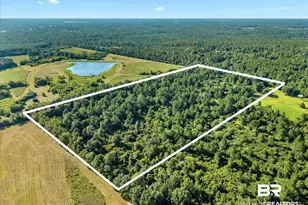 0 Stucki Rd, Elberta, AL 36530 - Photo 1