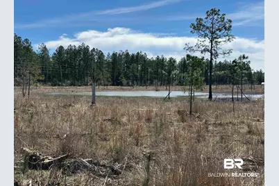 3 County Road 64, Robertsdale, AL 36567 - Photo 1