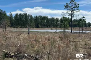 4 County Road 64, Robertsdale, AL 36567 - Photo 1