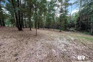 43807 State Hwy 225, Bay Minette, AL 36507 - Photo 1