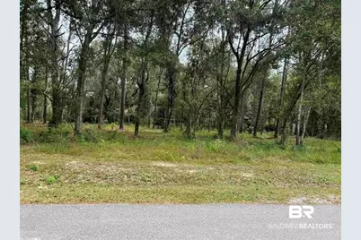 0 Highway 98, Foley, AL 36535 - Photo 1
