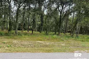 0 Hwy 98, Foley, AL 36535 - Photo 1