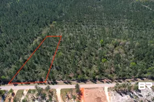 28055 Goat Cooper Rd, Robertsdale, AL 36567 - Photo 1