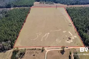 25 County Road 48, Robertsdale, AL 36567 - Photo 1