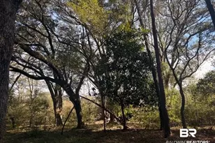 0 Krehling Ln, Elberta, AL 36530 - Photo 1