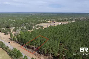 0 Cowpen Creek Rd, Robertsdale, AL 36567 - Photo 1