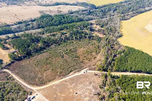 0 Lechner Rd, Robertsdale, AL 36567 - Photo 1
