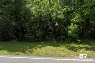 0 Ceiba Grande St, Fairhope, AL 36532 - Photo 1