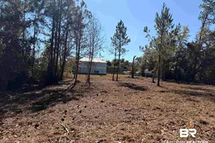 5308 Pine Rd, Orange Beach, AL 36561 - Photo 1