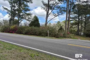 43156 Pine Grove Rd, Bay Minette, AL 36507 - Photo 1