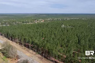 0 Cowpen Creek Rd, Robertsdale, AL 36567 - Photo 1