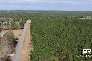 0 Cowpen Creek Rd, Robertsdale, AL 36567 - Photo 1