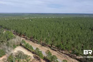 0 Cowpen Creek Rd, Robertsdale, AL 36567 - Photo 1