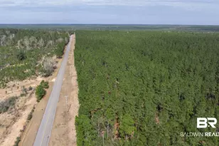 0 Cowpen Creek Rd, Robertsdale, AL 36567 - Photo 1