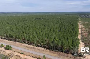 0 Cowpen Creek Rd, Robertsdale, AL 36567 - Photo 1