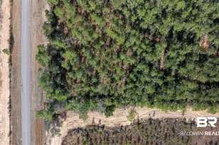 0 Cowpen Creek Rd, Robertsdale, AL 36567 - Photo 1
