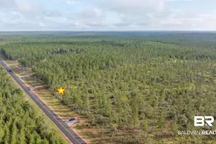 0 County Road 87, Robertsdale, AL 36567 - Photo 1