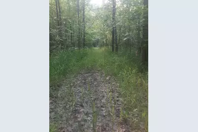 2897 Township Hwy 247, De Graff, OH 43318 - Photo 11