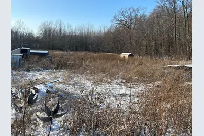 2897 Township Hwy 247, De Graff, OH 43318 - Photo 5