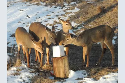 4164 County Road 1, Bellefontaine, OH 43311 - Photo 61