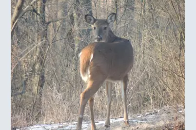 4164 County Road 1, Bellefontaine, OH 43311 - Photo 63