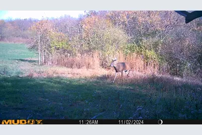 0 Township Road 127, Zanesfield, OH 43360 - Photo 43