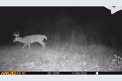 0 Township Road 127, Zanesfield, OH 43360 - Photo 31