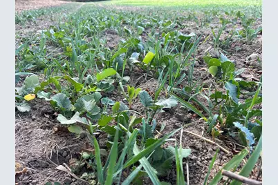 0 Township Road 127, Zanesfield, OH 43360 - Photo 27