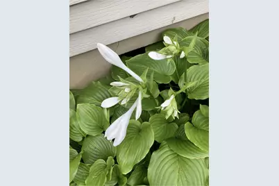 1054 Wilhelmina Drive, Vandalia, OH 45377 - Photo 47