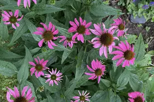 1054 Wilhelmina Dr, Vandalia, OH 45377 - Photo 41