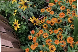 1054 Wilhelmina Dr, Vandalia, OH 45377 - Photo 45